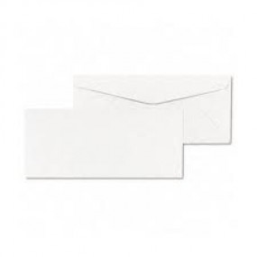 #10 Laid Envelope